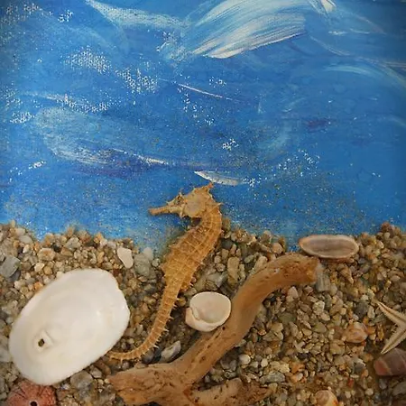 Kostis * Città di Skiathos