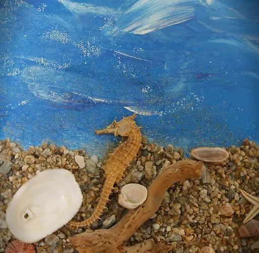 Kostis * העיירה סקיאתוס