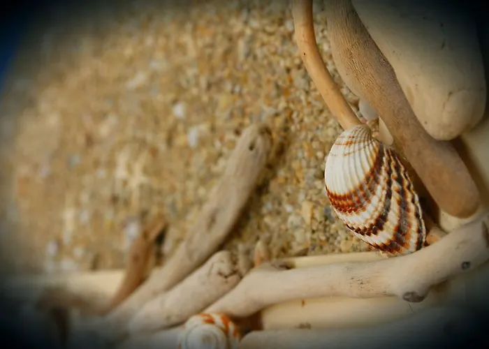 Kostis * העיירה סקיאתוס