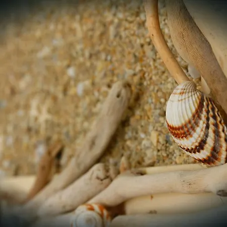 Kostis * Skiathos stad